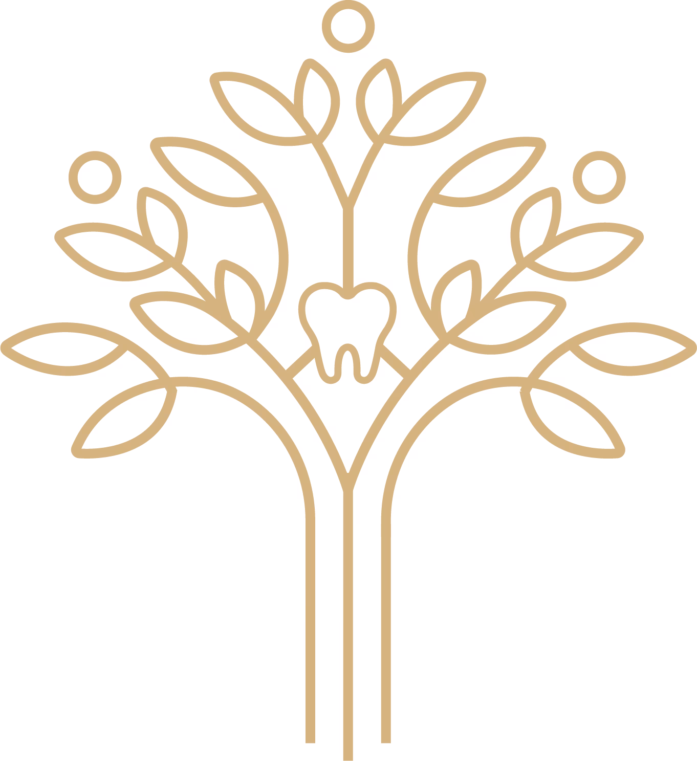 Outline of a tree with branches, leaves, and a central tooth shape among the branches.